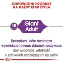 Royal Canin Giant Adult karma sucha dla psów dorosłych, od 18/24 miesiąca życia, ras olbrzymich PROMOCJA 18kg (15+3kg)