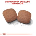 Royal Canin Giant Adult karma sucha dla psów dorosłych, od 18/24 miesiąca życia, ras olbrzymich PROMOCJA 18kg (15+3kg)