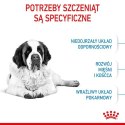 Royal Canin Giant Junior karma sucha dla szczeniąt od 8 do 18/24 miesiąca życia, ras olbrzymich 15kg