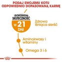 Royal Canin Hair&Skin Care karma mokra w galaretce dla kotów dorosłych, lśniąca sierść i zdrowa skóra saszetka 85g