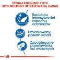 Royal Canin Indoor karma sucha dla kotów dorosłych, przebywających wyłącznie w domu 10kg