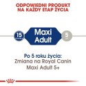 Royal Canin Maxi Adult karma sucha dla psów dorosłych, do 5 roku życia, ras dużych 15kg