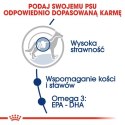 Royal Canin Maxi Adult karma sucha dla psów dorosłych, do 5 roku życia, ras dużych 4kg