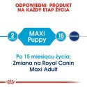 Royal Canin Maxi Puppy karma sucha dla szczeniąt, od 2 do 15 miesiąca życia, ras dużych 15kg