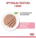 Royal Canin Kitten pasztet (loaf) karma mokra dla kociąt do 12 miesiąca życia saszetka 85g