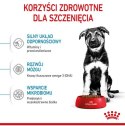 Royal Canin Maxi Puppy karma sucha dla szczeniąt, od 2 do 15 miesiąca życia, ras dużych 1kg