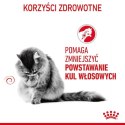 Royal Canin Hairball Care karma sucha dla kotów dorosłych, eliminacja kul włosowych 10kg